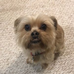 Meet your Posher, Richard